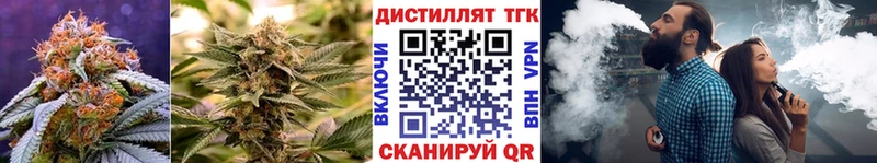 ТГК концентрат  Купить где  Тавда 